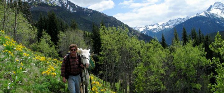 Wildlife Tracking & Conservation - horseXperiences™ GO EQUESTRIAN