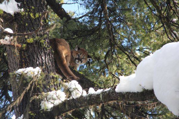 Wildlife Tracking & Conservation - horseXperiences™ GO EQUESTRIAN