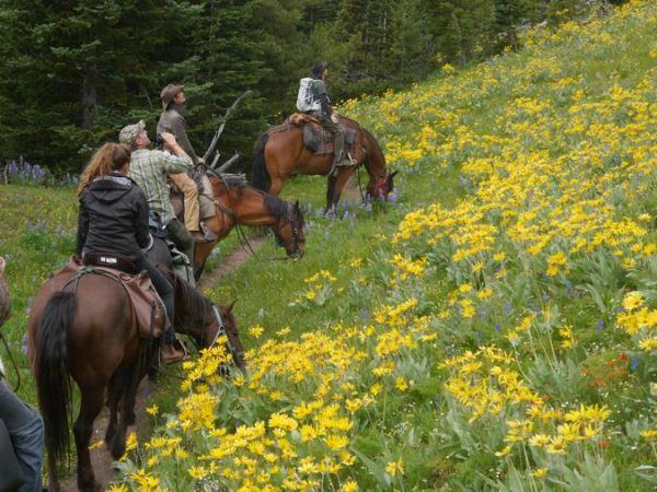 Wildlife Tracking & Conservation - horseXperiences™ GO EQUESTRIAN