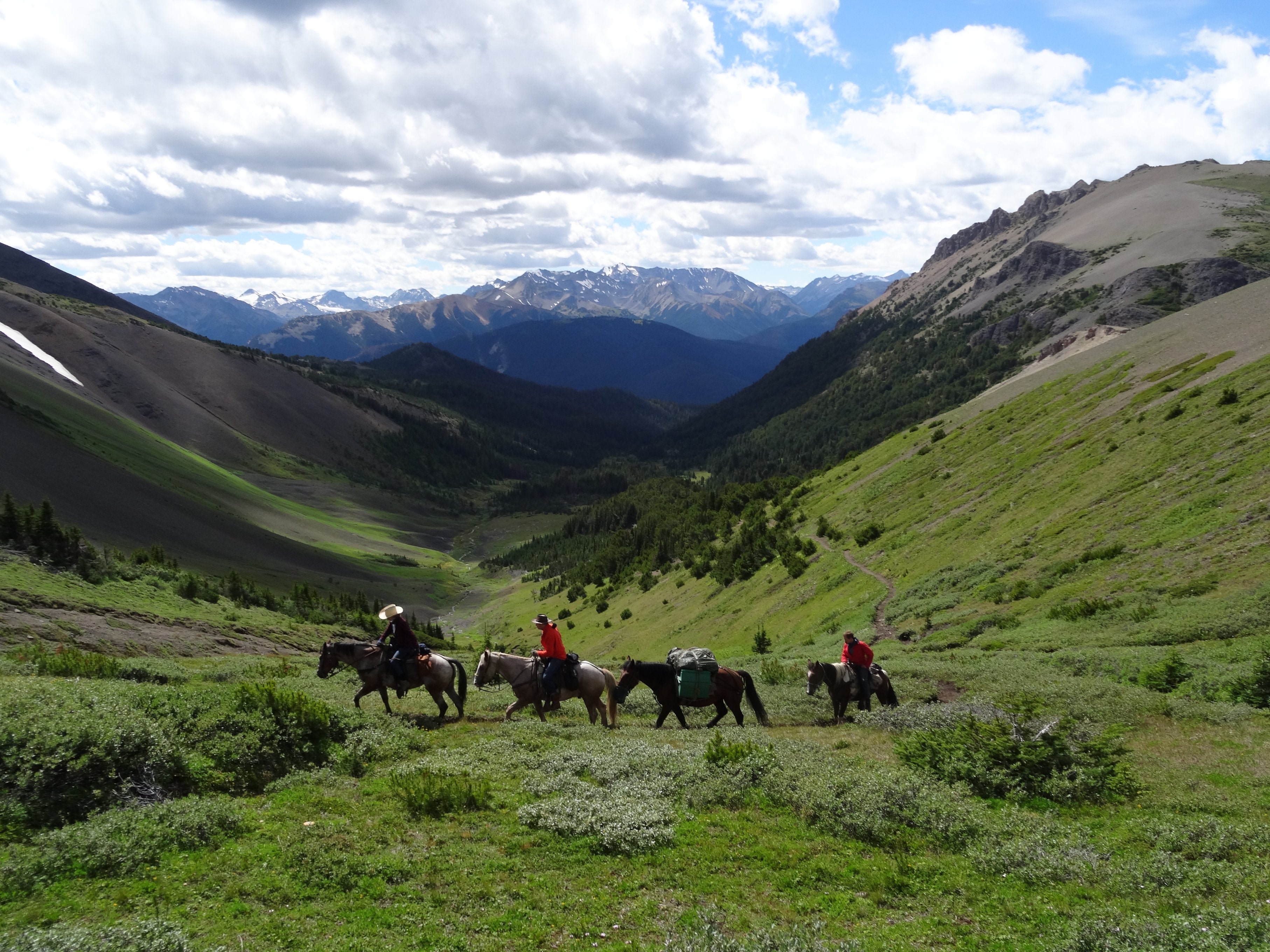 Wildlife Tracking & Conservation - horseXperiences™ GO EQUESTRIAN