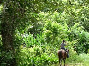 River Turrabilita eXperience - horseXperiences™ GO EQUESTRIAN