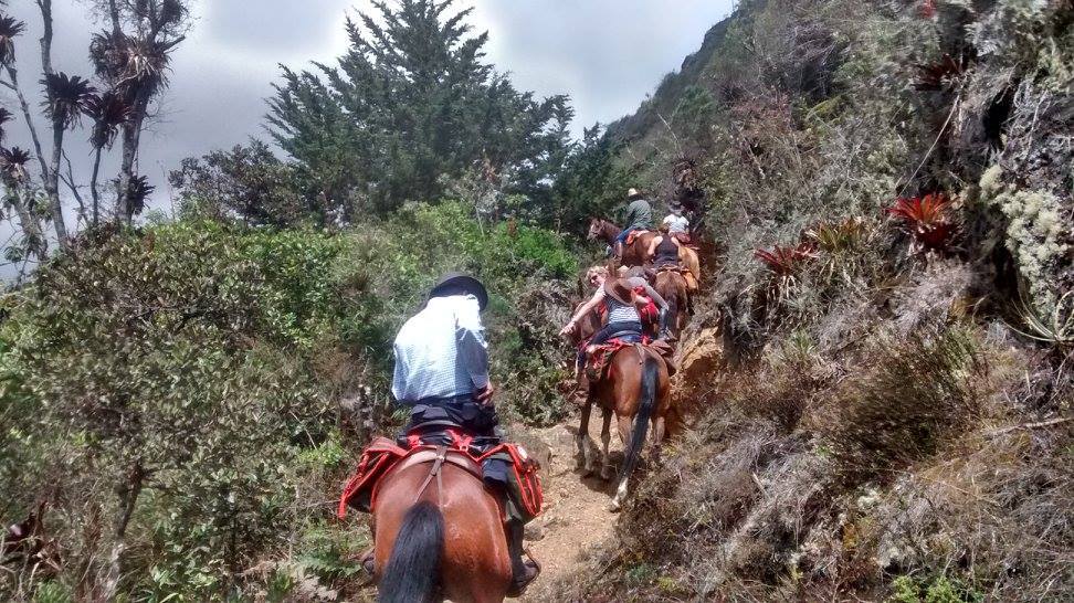 The Central Colombia Trail Ride - horseXperiences™ GO EQUESTRIAN