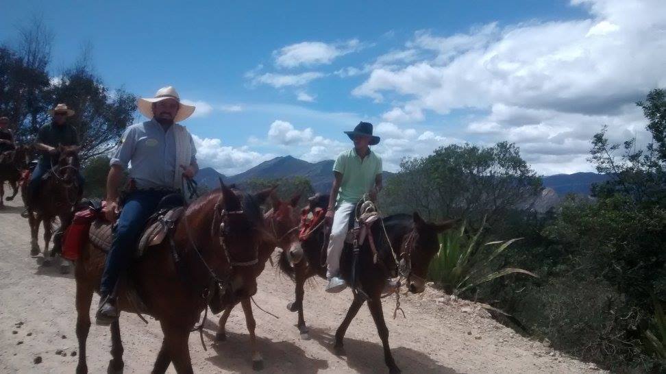 The Central Colombia Trail Ride - horseXperiences™ GO EQUESTRIAN