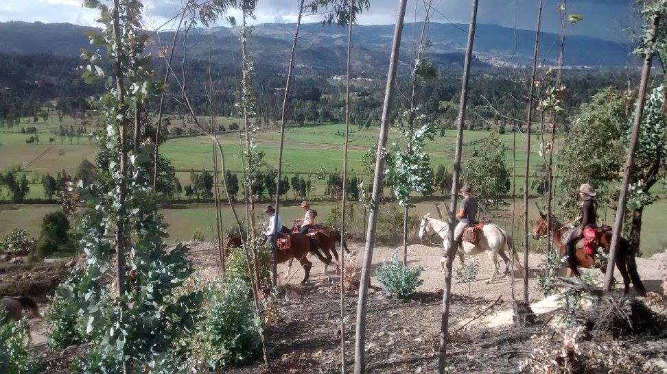 The Central Colombia Trail Ride - horseXperiences™ GO EQUESTRIAN