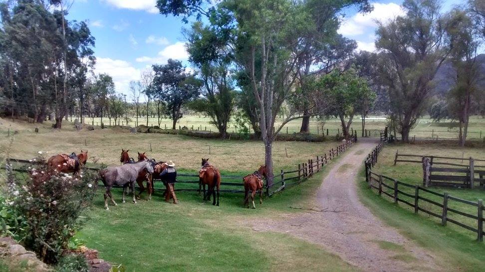 The Central Colombia Trail Ride - horseXperiences™ GO EQUESTRIAN