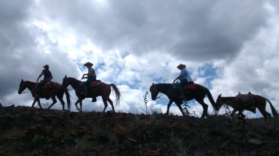 The Central Colombia Trail Ride - horseXperiences™ GO EQUESTRIAN