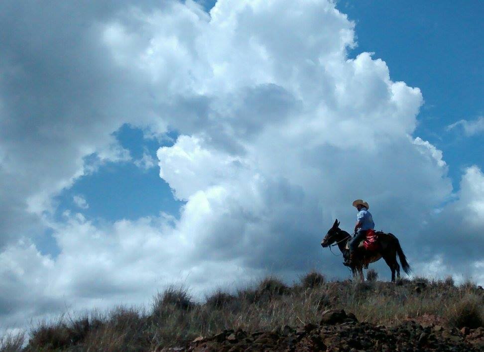 The Central Colombia Trail Ride - horseXperiences™ GO EQUESTRIAN