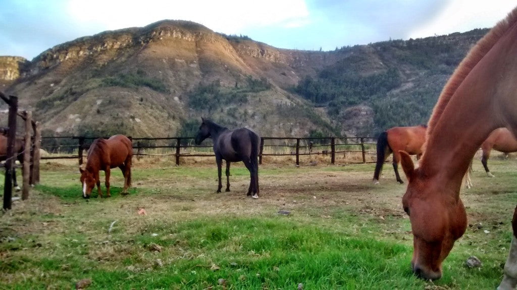 The Central Colombia Trail Ride - horseXperiences™ GO EQUESTRIAN