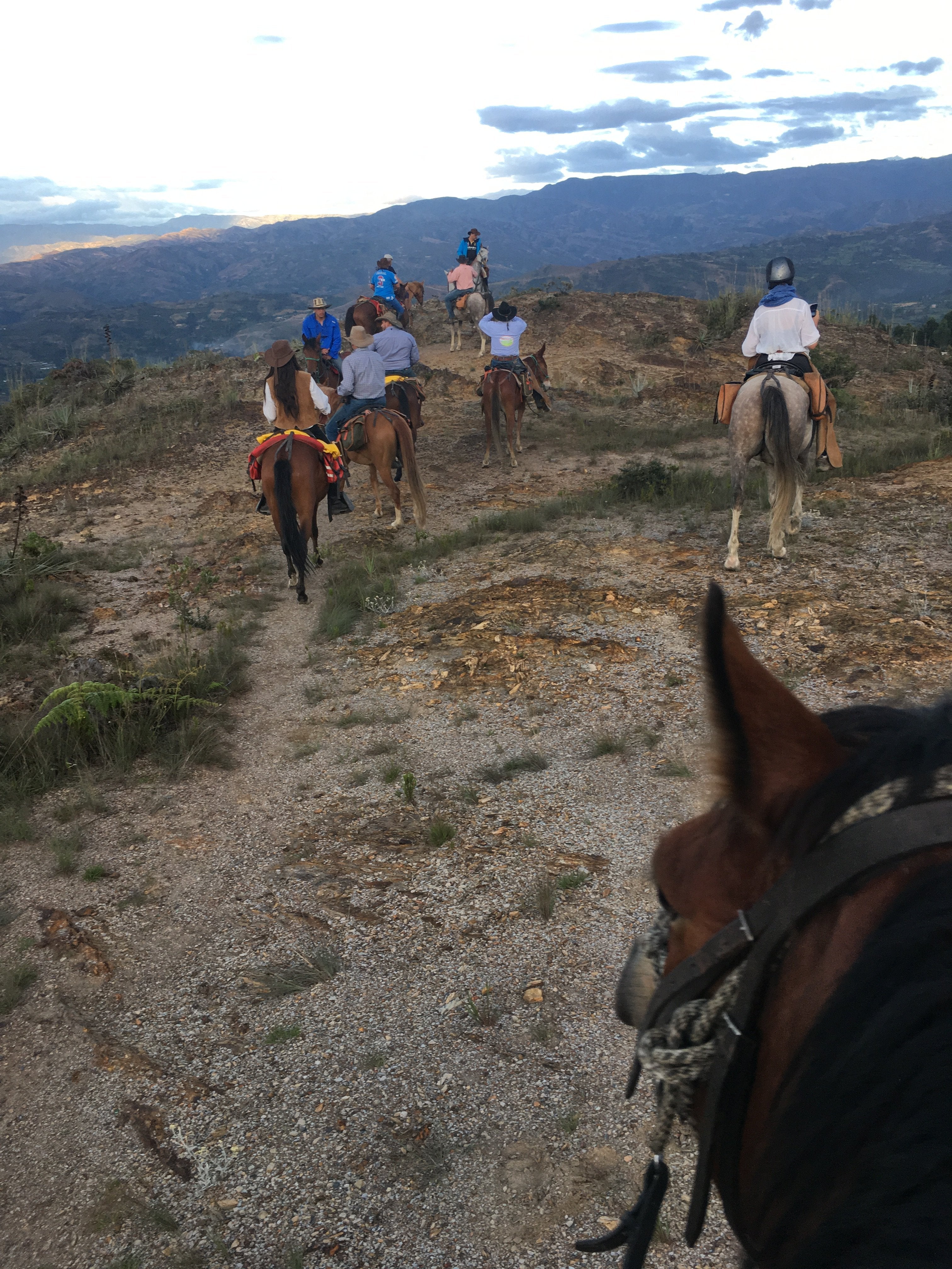 The Central Colombia Trail Ride - horseXperiences™ GO EQUESTRIAN