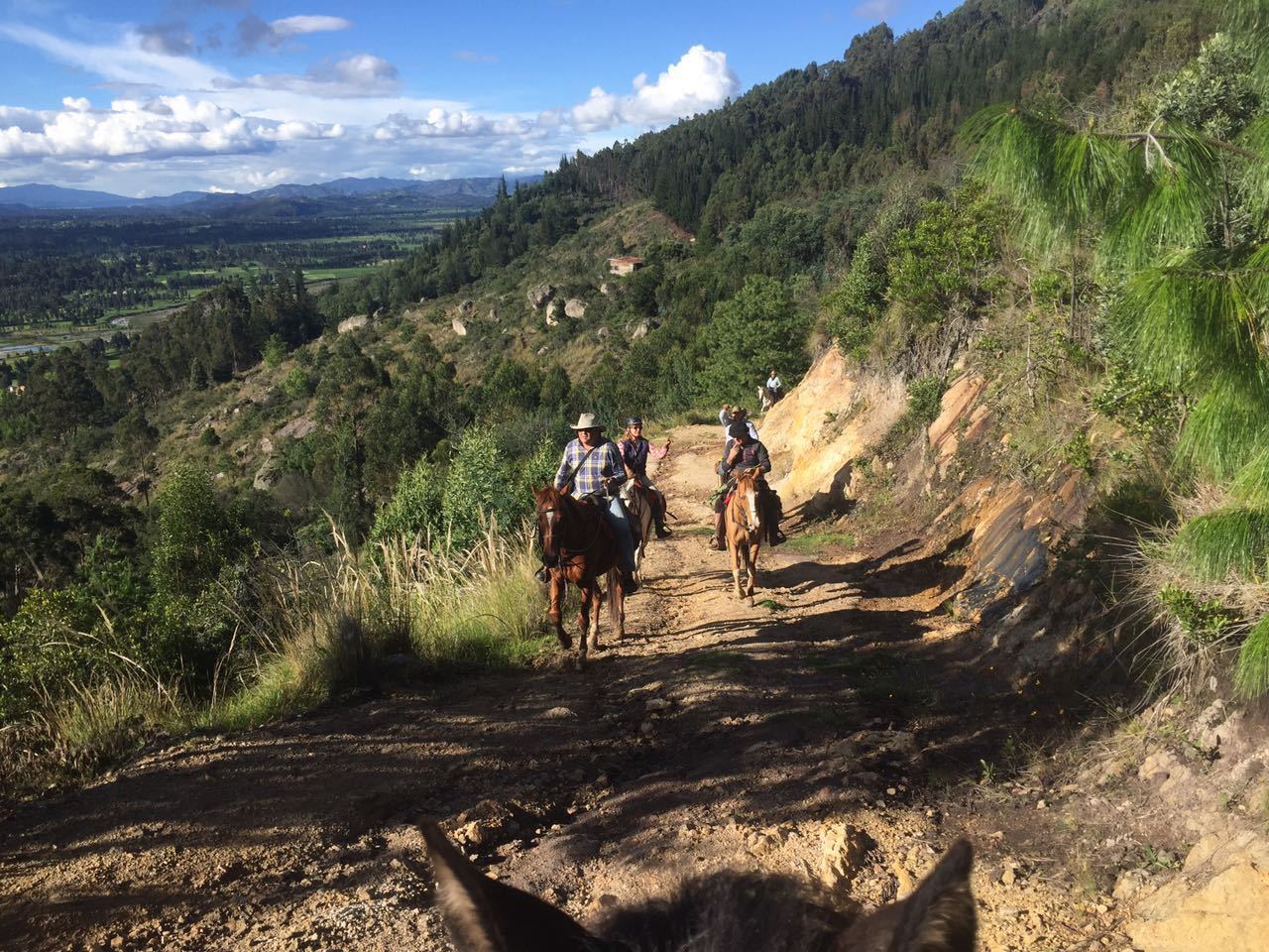 The Central Colombia Trail Ride - horseXperiences™ GO EQUESTRIAN