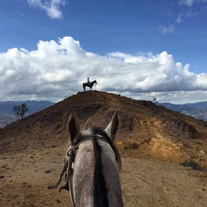 The Central Colombia Trail Ride - horseXperiences™ GO EQUESTRIAN