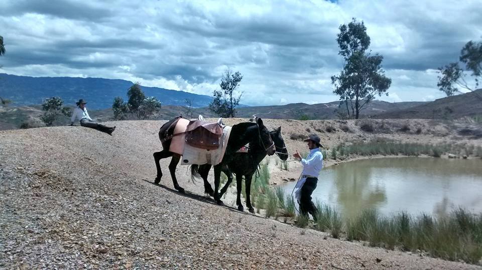 The Central Colombia Trail Ride - horseXperiences™ GO EQUESTRIAN