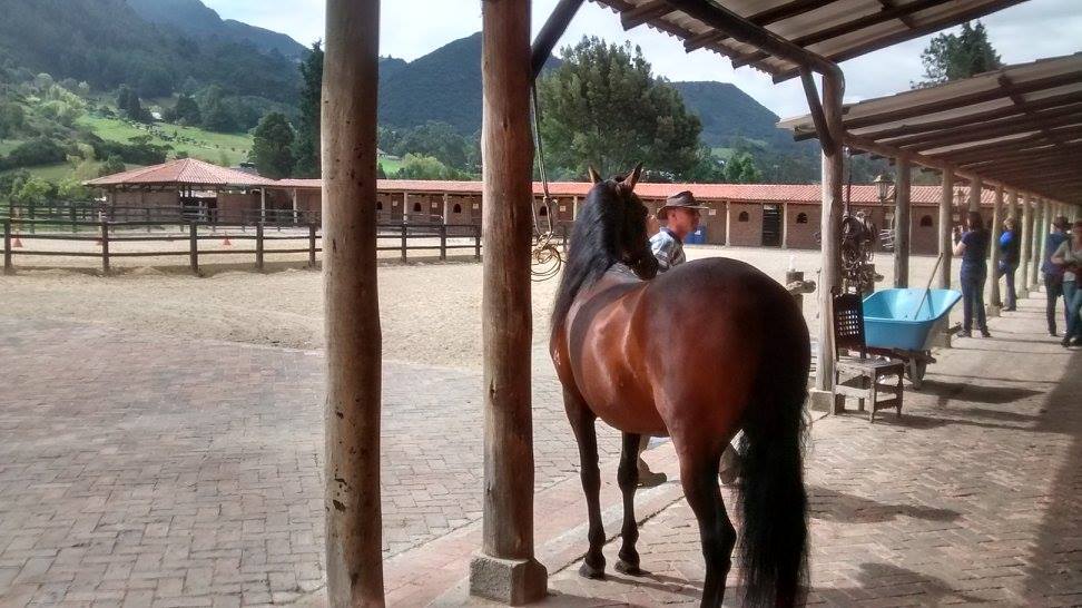 The Central Colombia Trail Ride - horseXperiences™ GO EQUESTRIAN