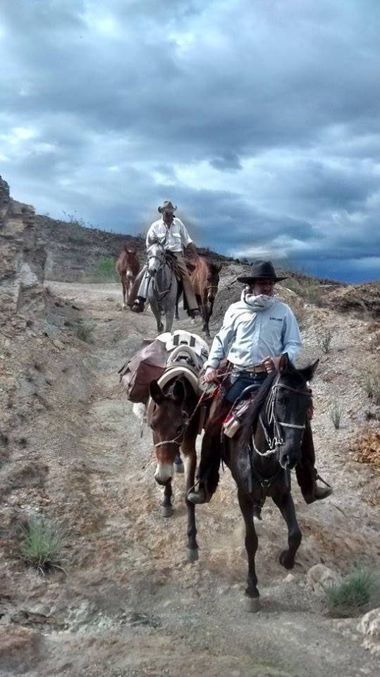 The Central Colombia Trail Ride - horseXperiences™ GO EQUESTRIAN