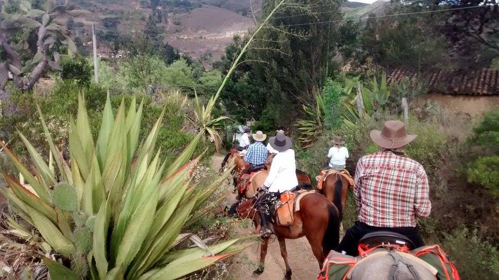 The Central Colombia Trail Ride - horseXperiences™ GO EQUESTRIAN