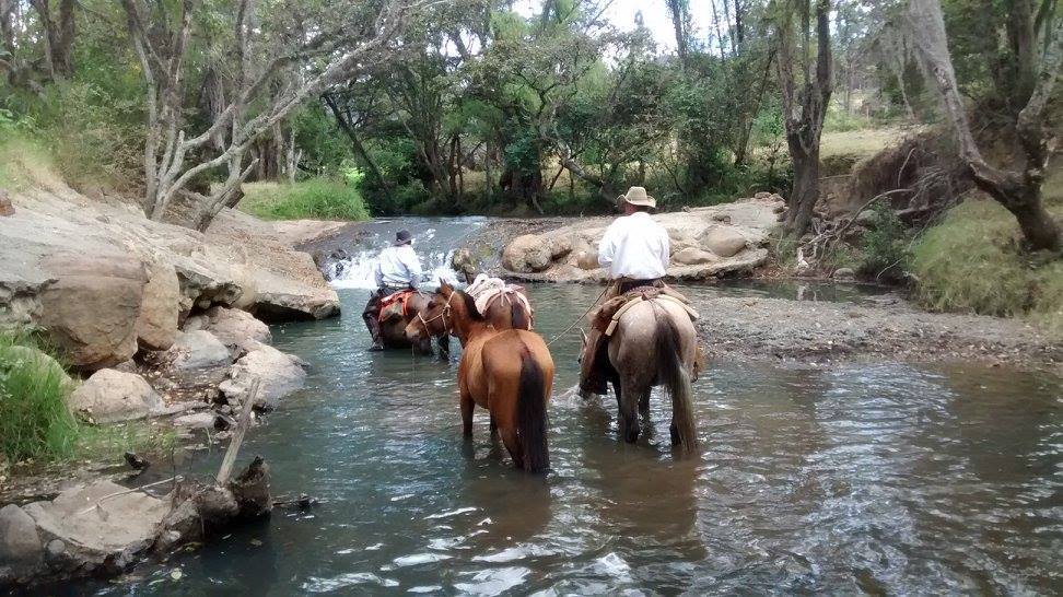 The Central Colombia Trail Ride - horseXperiences™ GO EQUESTRIAN