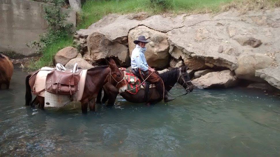 The Central Colombia Trail Ride - horseXperiences™ GO EQUESTRIAN