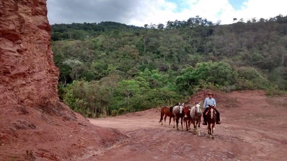 The Central Colombia Trail Ride - horseXperiences™ GO EQUESTRIAN