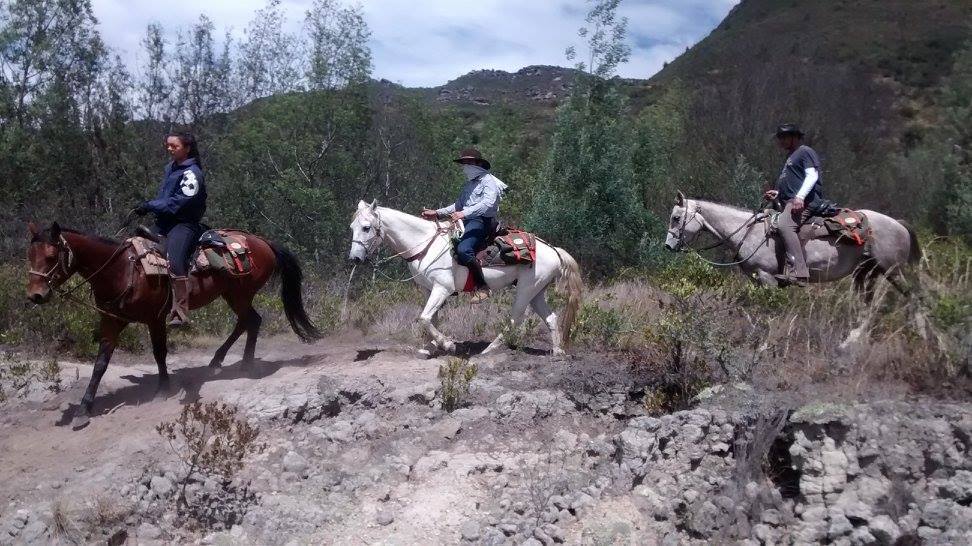 The Central Colombia Trail Ride - horseXperiences™ GO EQUESTRIAN