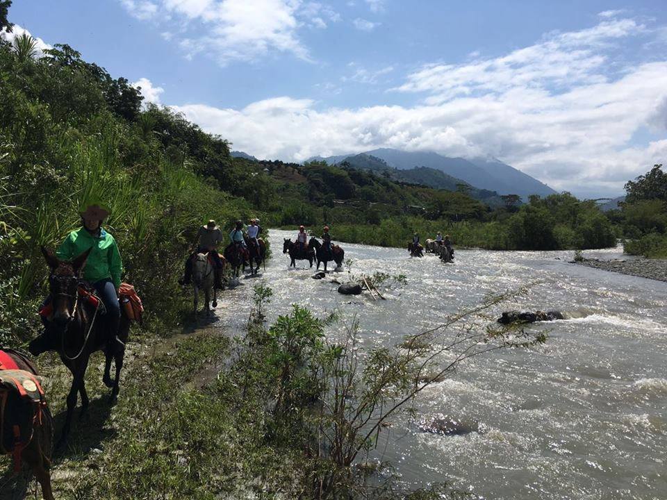 The Coffee Trail Ride - horseXperiences™ GO EQUESTRIAN