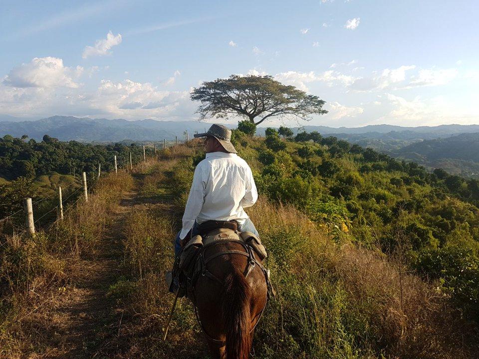 The Coffee Trail Ride - horseXperiences™ GO EQUESTRIAN