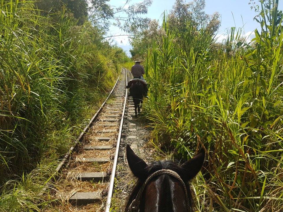 The Coffee Trail Ride - horseXperiences™ GO EQUESTRIAN