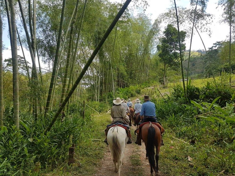 The Coffee Trail Ride - horseXperiences™ GO EQUESTRIAN