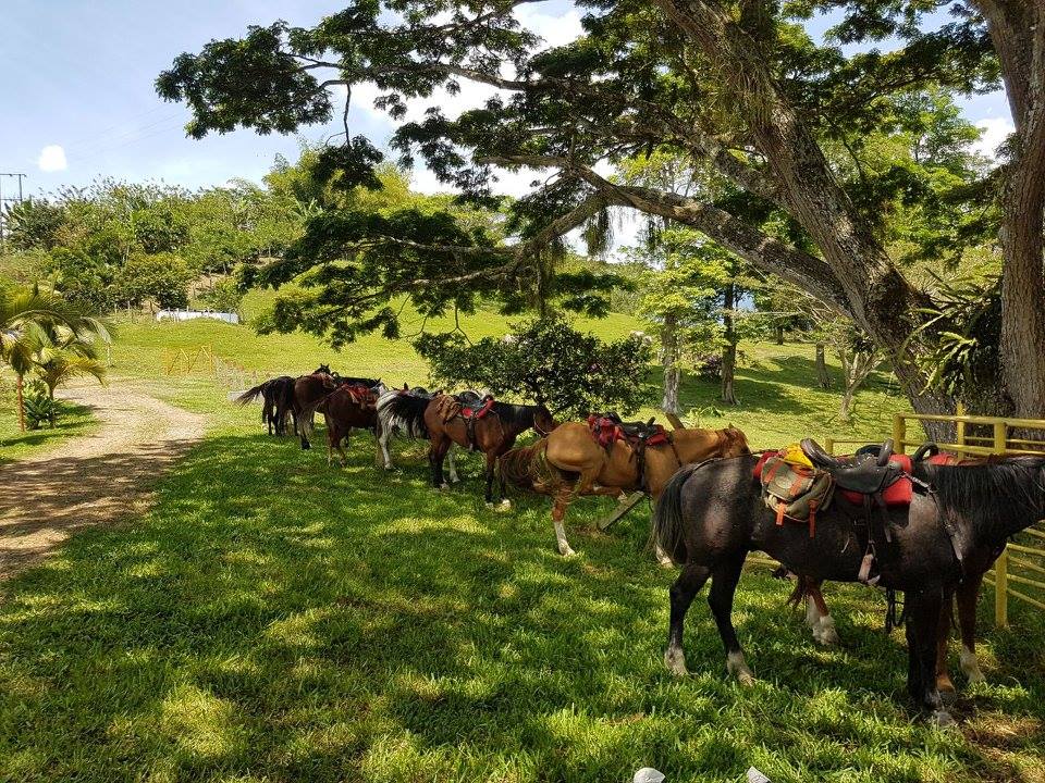 The Coffee Trail Ride - horseXperiences™ GO EQUESTRIAN