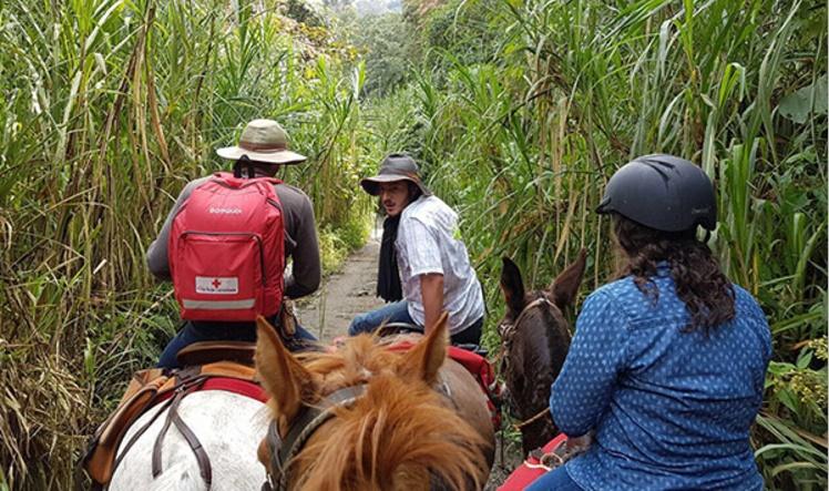 The Coffee Trail Ride - horseXperiences™ GO EQUESTRIAN