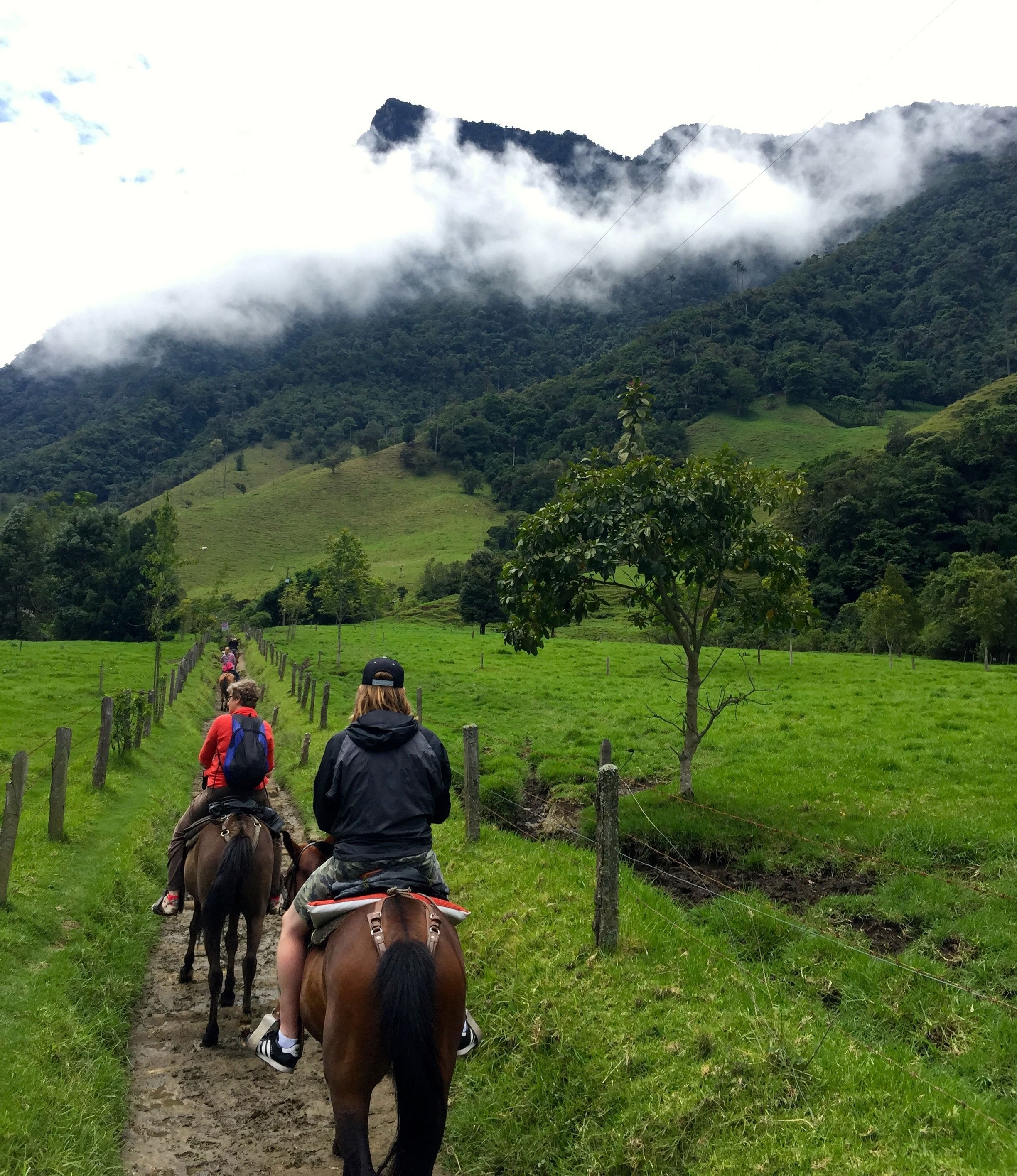 The Coffee Trail Ride - horseXperiences™ GO EQUESTRIAN