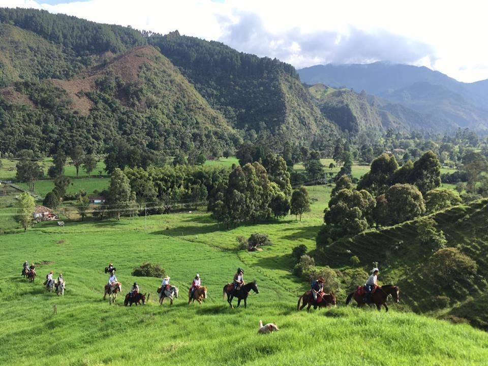 The Coffee Trail Ride - horseXperiences™ GO EQUESTRIAN