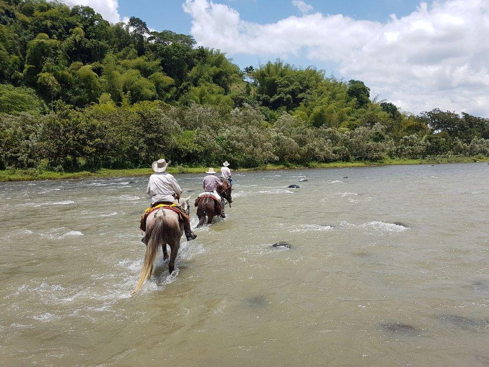 The Coffee Trail Ride - horseXperiences™ GO EQUESTRIAN