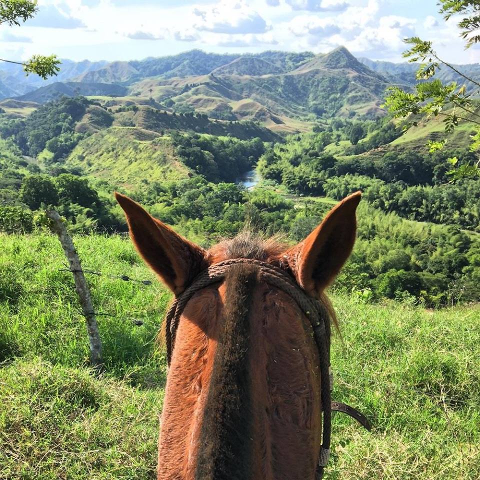 The Coffee Trail Ride - horseXperiences™ GO EQUESTRIAN