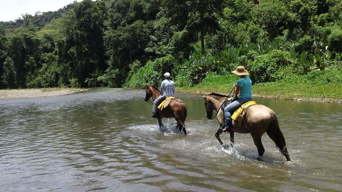 Jungle Spa eXperience - horseXperiences™ GO EQUESTRIAN