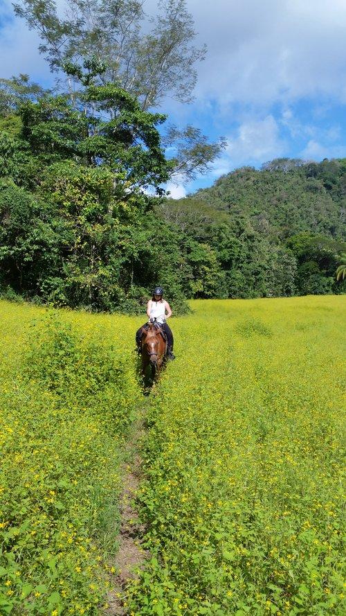 Jungle Spa eXperience - horseXperiences™ GO EQUESTRIAN