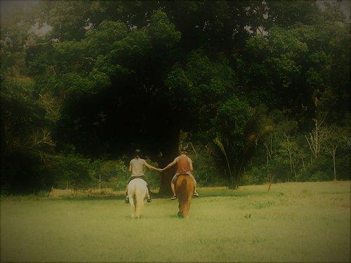 Jungle Spa eXperience - horseXperiences™ GO EQUESTRIAN