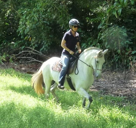 Tropical Connection - horseXperiences™ GO EQUESTRIAN