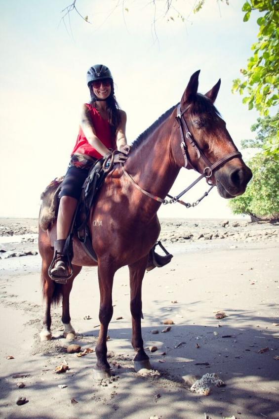 Tropical Connection - horseXperiences™ GO EQUESTRIAN