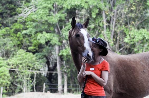 Tropical Connection - horseXperiences™ GO EQUESTRIAN