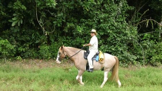 Tropical Connection - horseXperiences™ GO EQUESTRIAN