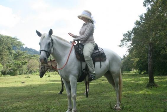 Tropical Connection - horseXperiences™ GO EQUESTRIAN