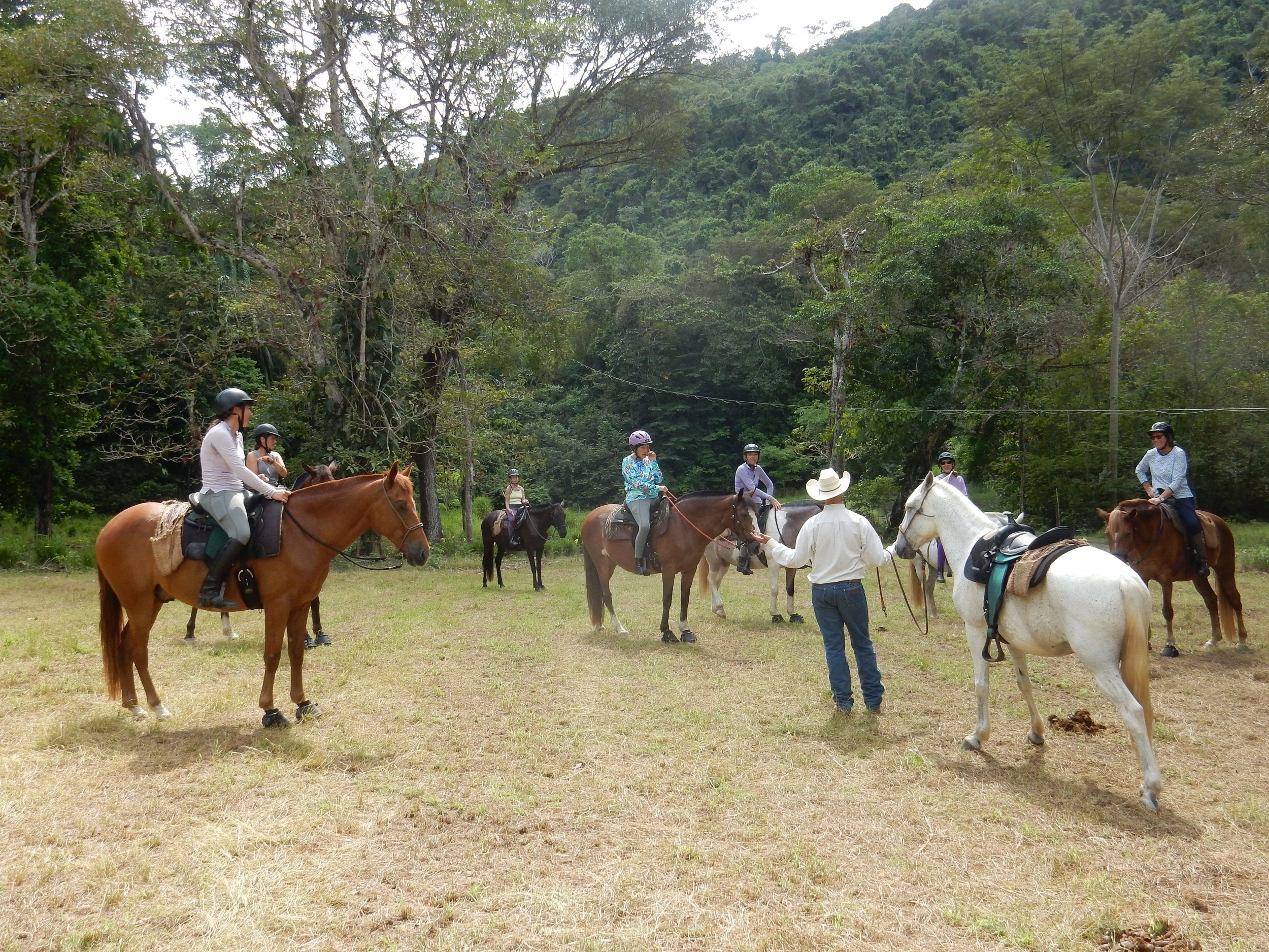 Tropical Connection - horseXperiences™ GO EQUESTRIAN