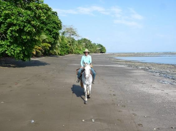 Tropical Connection - horseXperiences™ GO EQUESTRIAN