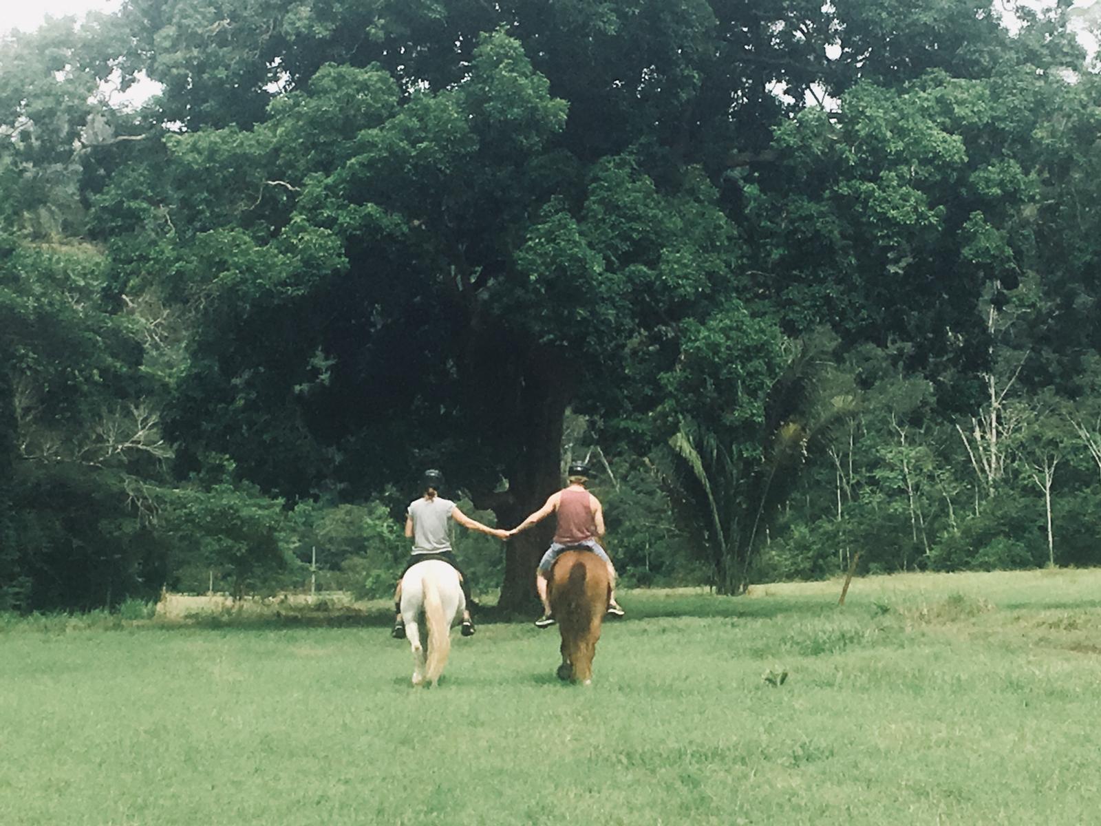 Tropical Connection - horseXperiences™ GO EQUESTRIAN