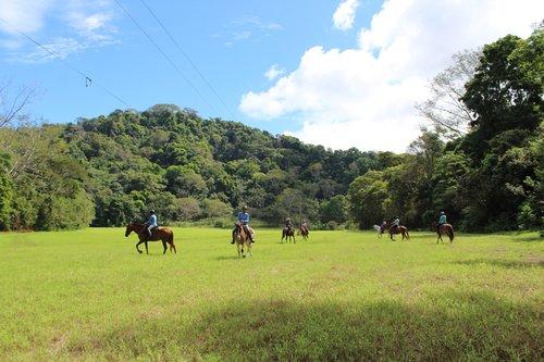 Tropical Connection - horseXperiences™ GO EQUESTRIAN