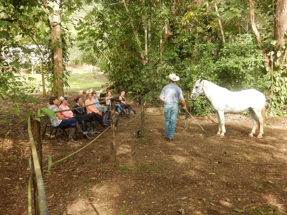 Tropical Connection - horseXperiences™ GO EQUESTRIAN