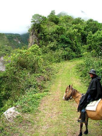 Ride, Hike & eXplore - horseXperiences™ GO EQUESTRIAN