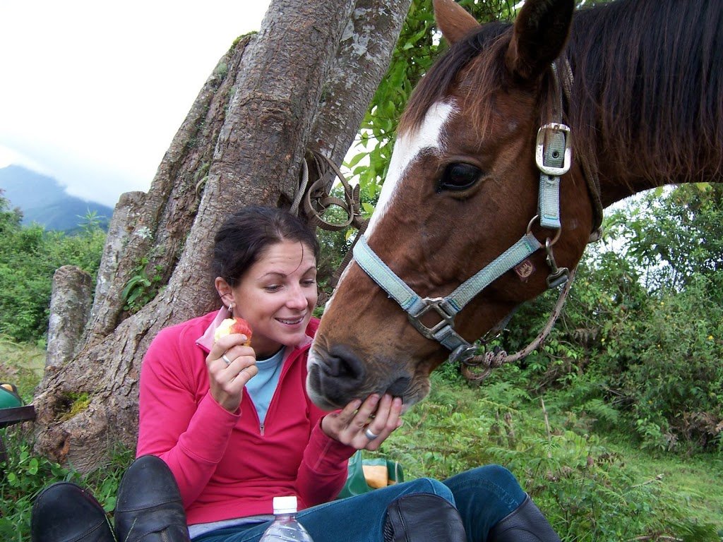 Ride, Hike & eXplore - horseXperiences™ GO EQUESTRIAN