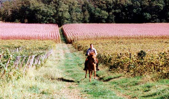 Authentic Armagnac - horseXperiences™ GO EQUESTRIAN