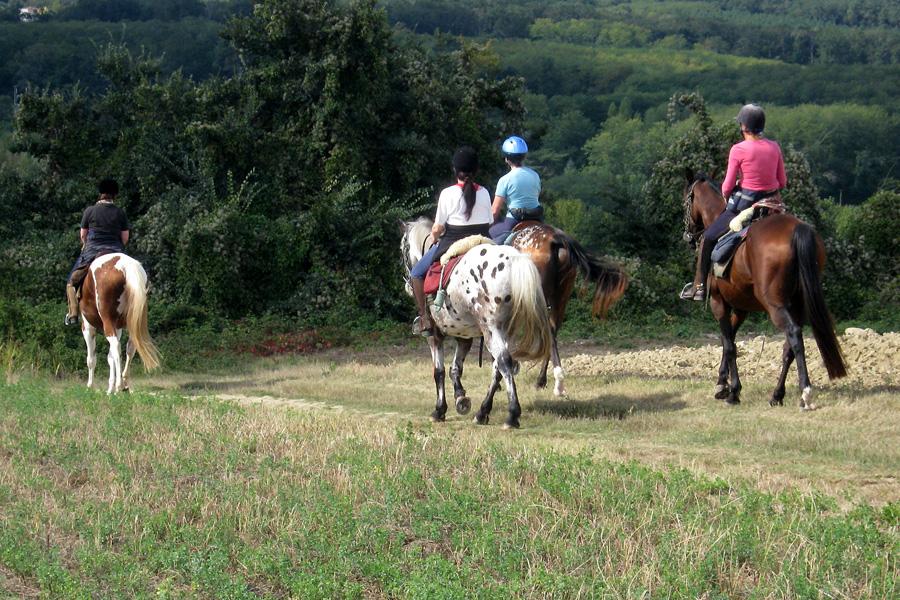 Authentic Armagnac - horseXperiences™ GO EQUESTRIAN